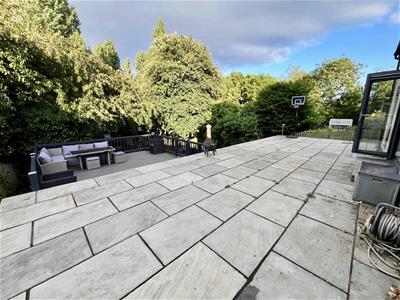 Picture 36